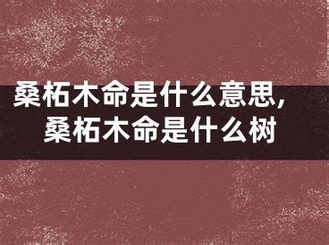 桑松土命是什么意思|桑柘木命